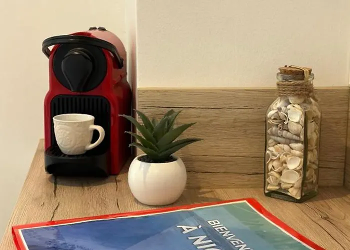 Stylish On Place Massena - Steps From Nice