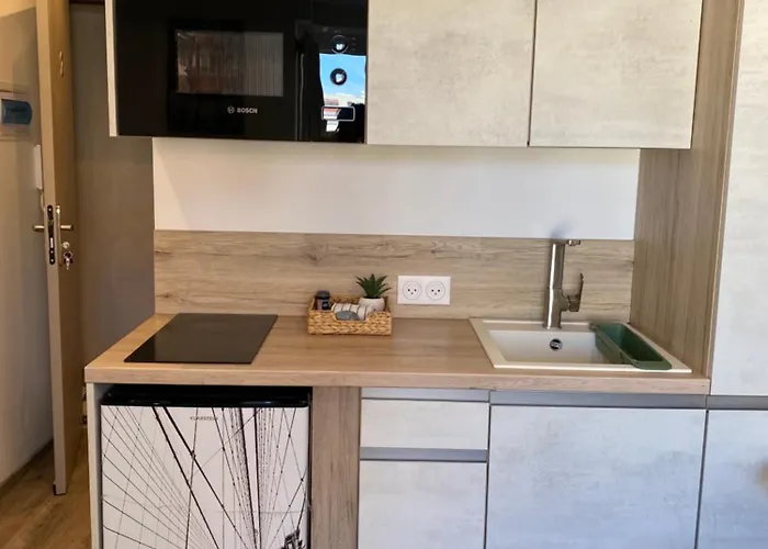 Bright Renovated Steps From Massena 5min Ac Netflix 公寓 尼斯